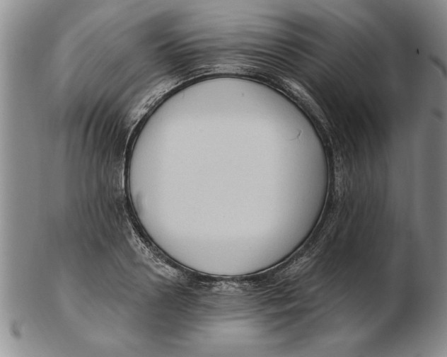 X0000102350938200808221651