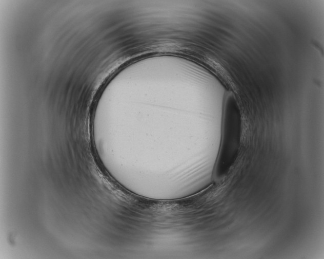 X0000102350939200808221651