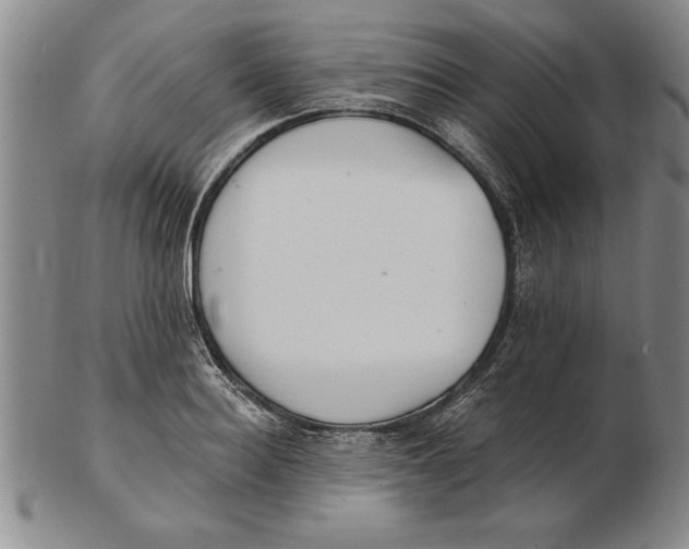 X0000102350940200808221651