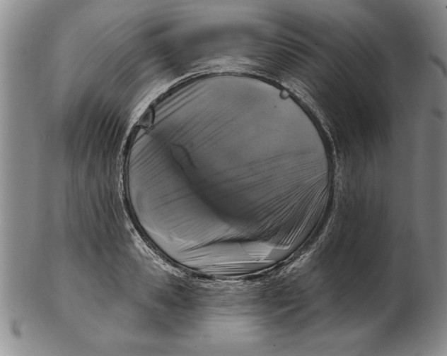 X0000102350941200808221651