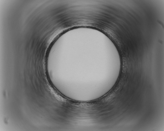 X0000102350942200808221651