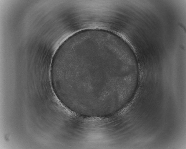 X0000102350943200808221651