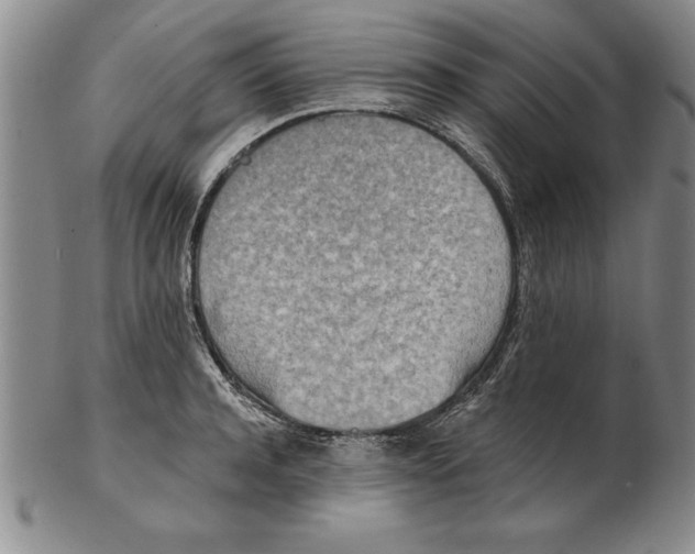 X0000102350944200808221651