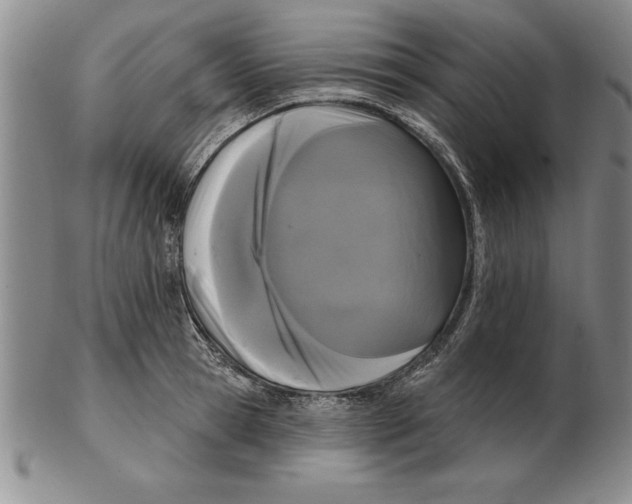 X0000102350945200808221651