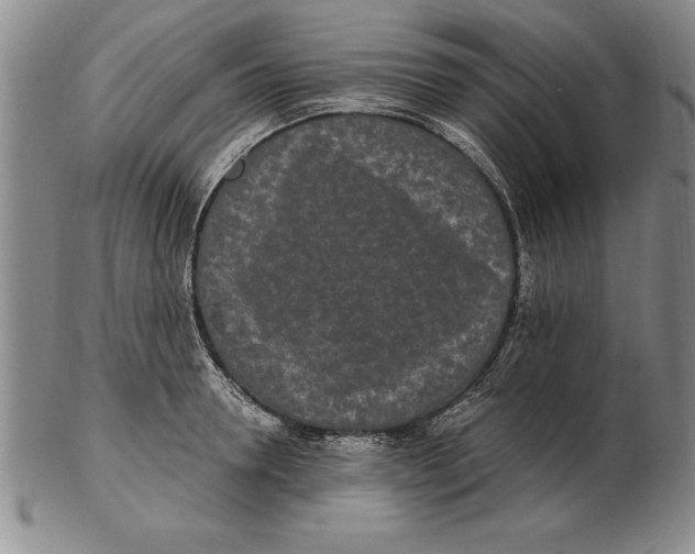 X0000102350946200808221651