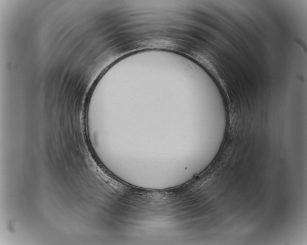 X0000102350947200808221651