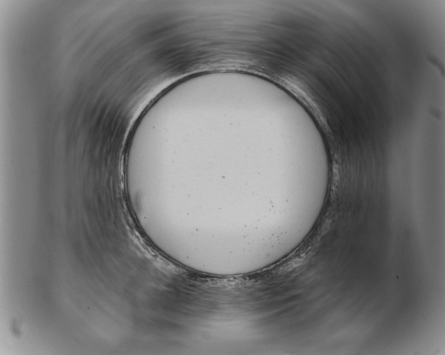 X0000102350948200808221651