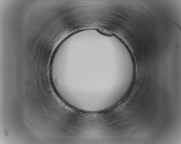 X0000102350949200808221651