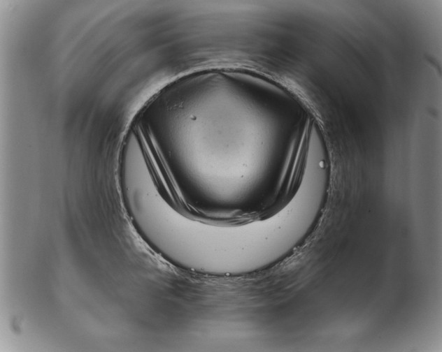 X0000102350950200808221651