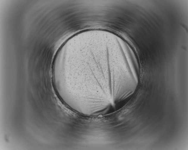 X0000102350951200808221651