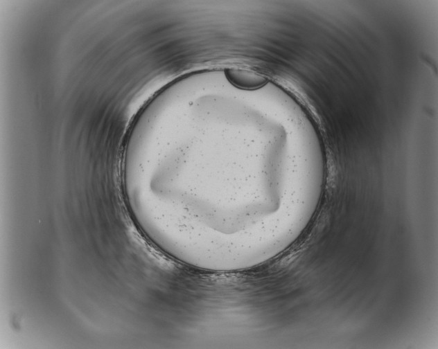 X0000102350952200808221651