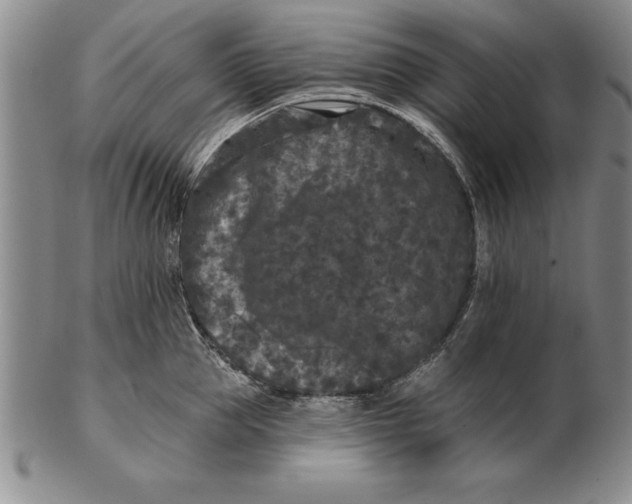 X0000102350953200808221651