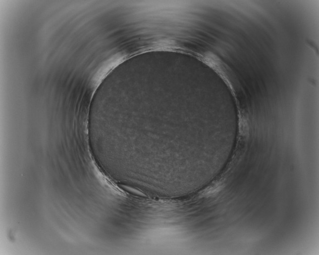 X0000102350954200808221651