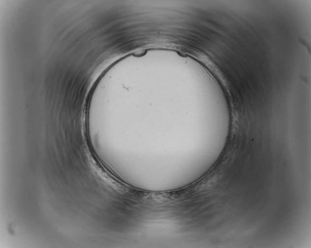 X0000102350955200808221651