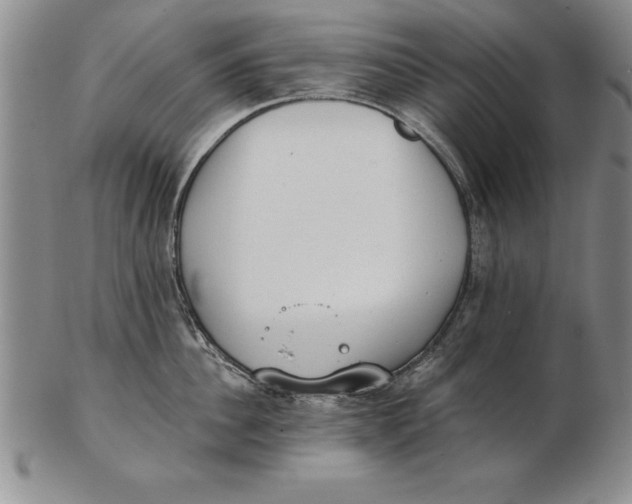 X0000102350956200808221651