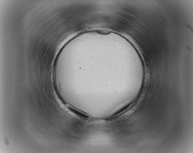 X0000102350957200808221651