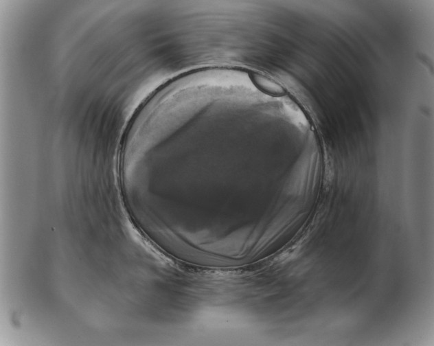 X0000102350958200808221651