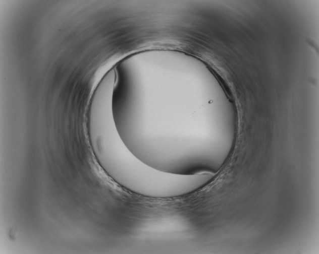 X0000102350960200808221651