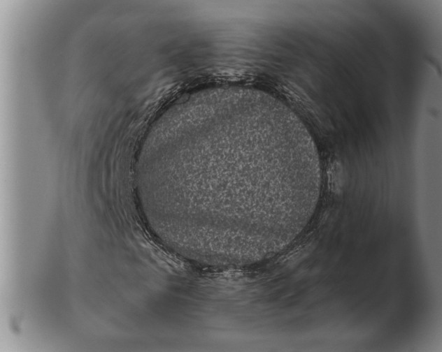 X0000102350961200808221650