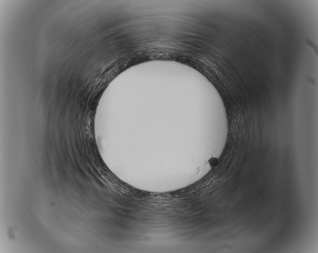 X0000102350964200808221650