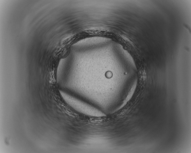 X0000102350965200808221650