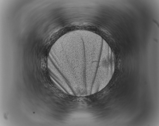 X0000102350966200808221650