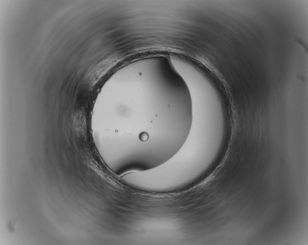 X0000102350969200808221650