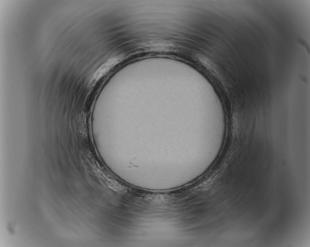 X0000102350970200808221650