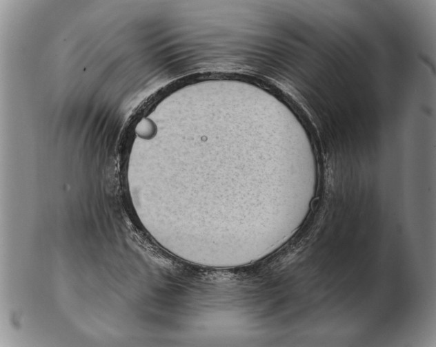 X0000102350971200808221650