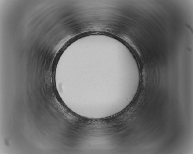 X0000102350972200808221650