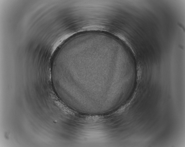 X0000102350973200808221650