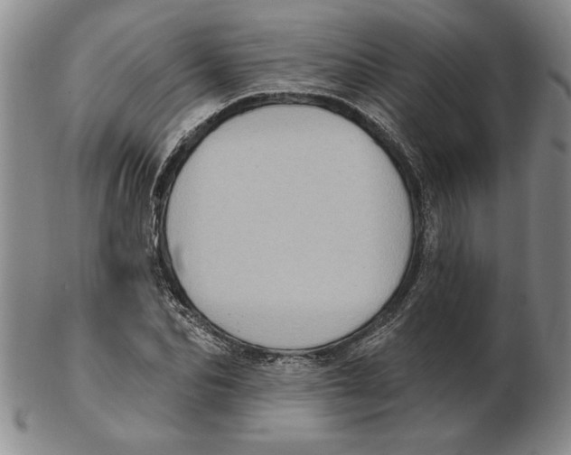 X0000102350974200808221650