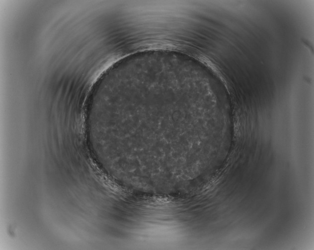 X0000102350975200808221650