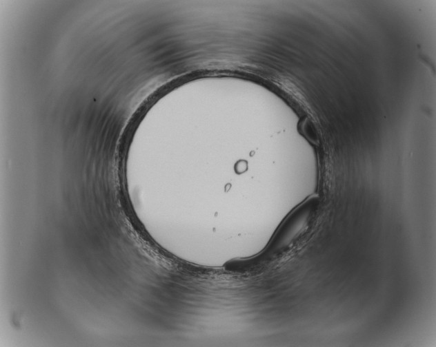 X0000102350976200808221650