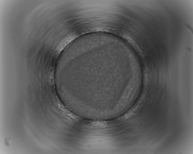 X0000102350977200808221650