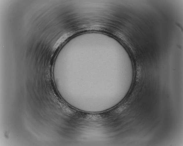 X0000102350978200808221650