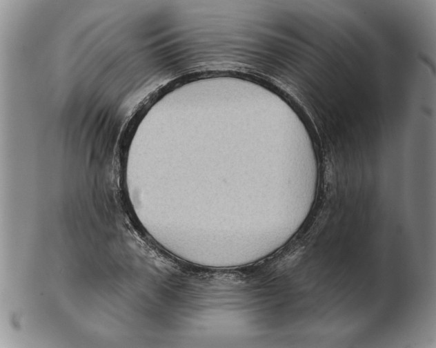 X0000102350979200808221650