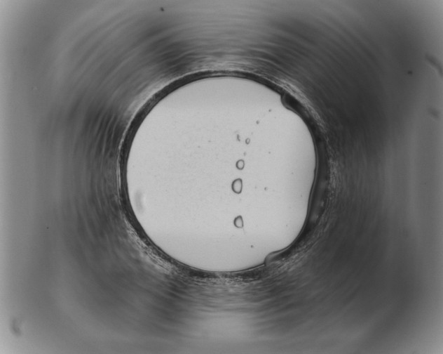 X0000102350980200808221650