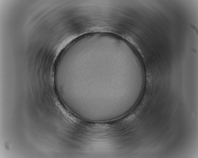 X0000102350981200808221650