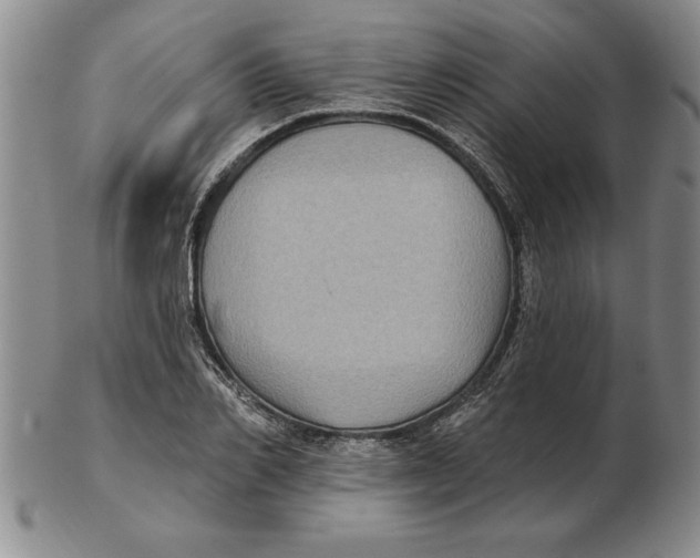 X0000102350982200808221650