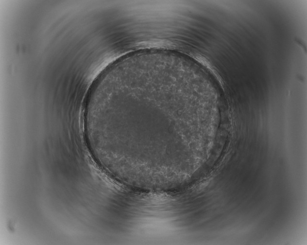 X0000102350983200808221650