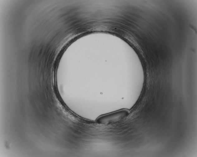 X0000102350984200808221650