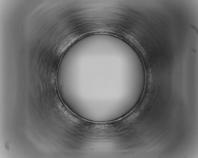 X0000102350985200808221650