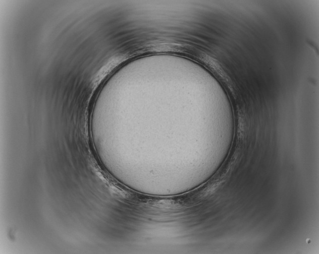 X0000102350986200808221650