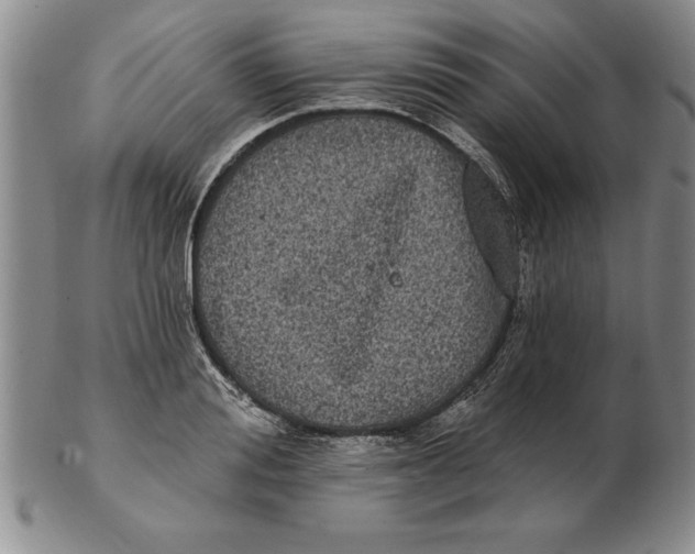 X0000102350988200808221650