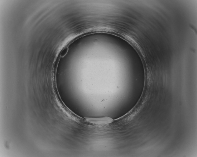 X0000102350989200808221650