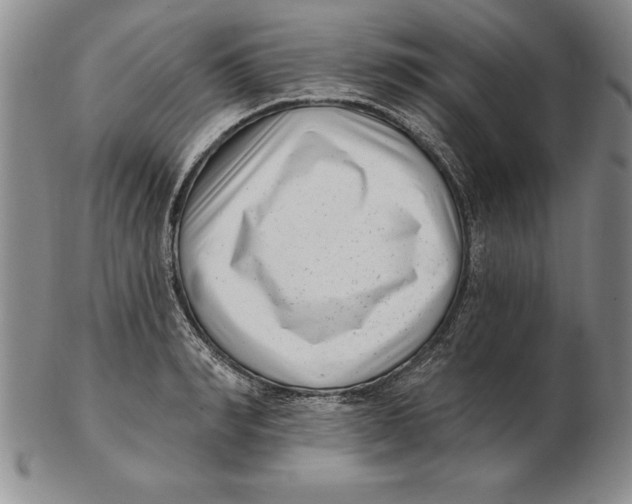 X0000102350990200808221650