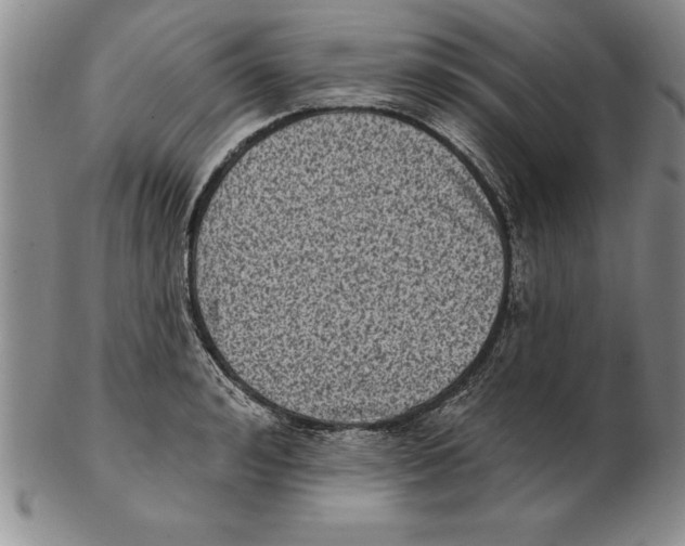 X0000102350992200808221650