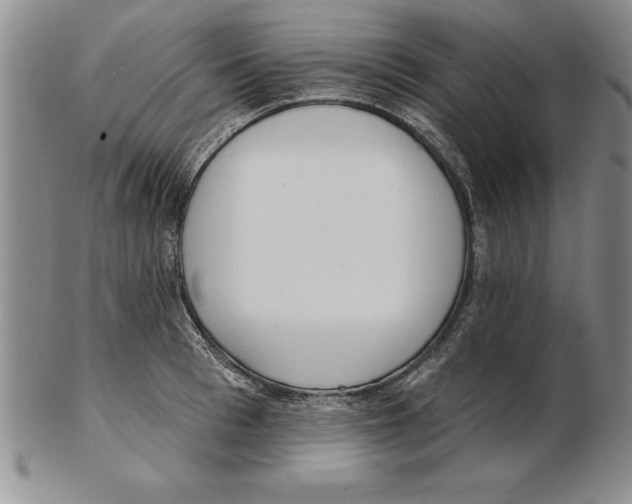 X0000102350993200808221650