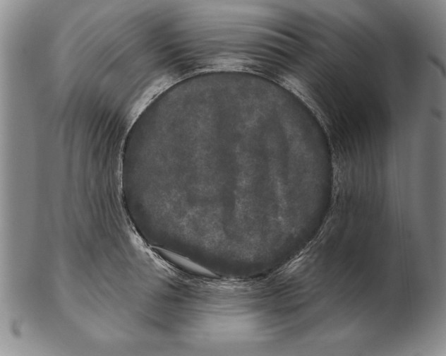 X0000102350994200808221650